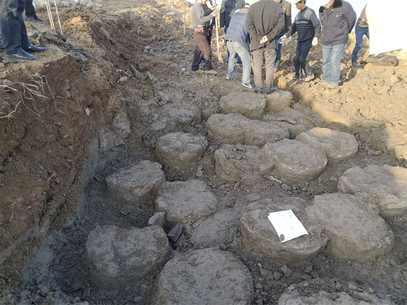 湖南小山建设有限公司,承接水利水电工程,承接河湖疏浚工程,机械设备租赁,建材销售,小山建设